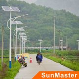 Solar LED Street Light (STL01-120W)