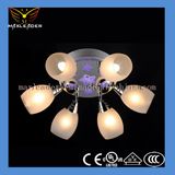 Chandelier with Perfect Handmade Detail (MD009)