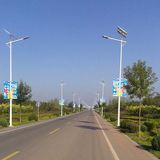 High Efficiency Solar Energy Light LED Street Light Manufacturer