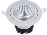 LED Ceiling Light with COB LED