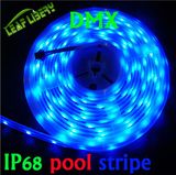 5V DMX Controlled SMD RGB Flexible Strip Light, DMX512 LED Strip