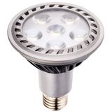 LED PAR30 Spotlight