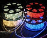 Flex LED Strip Light 220V