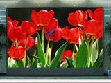 Indoor LED Video Display