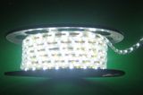 220V LED SMD5050 Strip Light