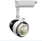 Wholesale Hot Sale CE RoHS 30W COB LED Trunk Light