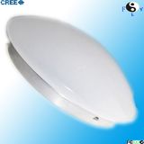 Ceiling Lamp 36W Warm White Ceiling Lamp