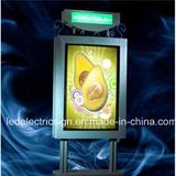 LED Scrolling Advertising Light Box