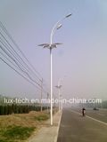 60W Solar LED Street Light with Flower Shape Panel