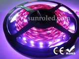 Dream Color RGB LED Tape Light 60LEDs/M