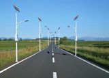 (Professional Manufacturer) LED Solar Street Light