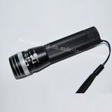 Flashlight (SF-501)