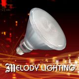 Energy Saving Lamp (Reflector) 