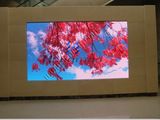 Multicolor LED Display