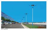 High Power Custom 50W IP65 Solar LED Street Light