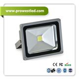 30W LED Flood Light (PW2031-1)