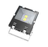 Warehouse 100W LED Outdoor Flood Light COB