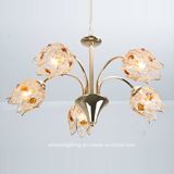 Iron Chandelier Modern Crystal Pendant Lights Em1007-5L