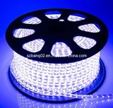 110V // 220V High Voltage Waterproof 3.3W LED Strip Light (BQ-HS-Y60)