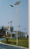 LED Solar Street Light 30W -80W