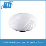 18W Plastic&Aluminium LED Panel Ceiling Light