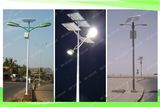 Double 60W LED Solar Powered Street Light with Pole