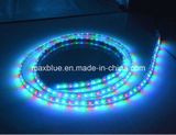 Ws2811 48LEDs/M DC12V Magic Addressable LED Strip Light