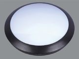 LED 8W Waterproof Ceiling Light IP66