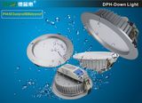 LED Down Light