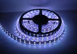 CE/RoHS Certificated 30-Piece 5050 SMD LED Strip Light