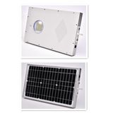 15W Integrated Solar LED Street Light with PIR Sensor