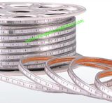 LED Light 72PS Per Meter 5050SMD LED Strip Light