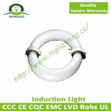 200W~300W Environmental Round LVD Induction Light