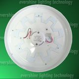 Ceiling Plate LED Light