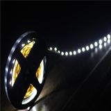 LED Strip Light Waterproof 3528