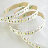 CE Approved LED Strip Light SMD3014 IP65