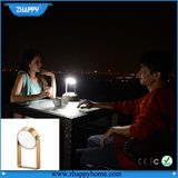 Multi-Purose LED Table Lamps for Camping (1)