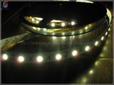 IP20 Non-Waterproof SMD 5050 LED Strip Lights