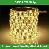 12V 5050/3528 Warm White LED Strip Light