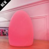 Multicolor Egg Shape Mini LED Light