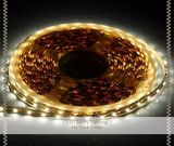 24V 3528 LED Strip Light, Flexible Strip Light