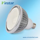 9W PAR38 LED Light