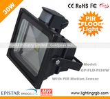 30W LED PIR Flood Light/ LED Projector Light