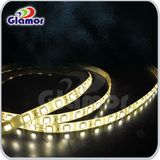 Strip Light Hilo Luminoso LED