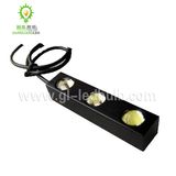 LED Running Light (Eagle Eye)