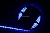 12V Waterproof LED Light Strip