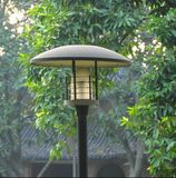 High Quality 30W Garden Light with 3year Warranty (YCG30)