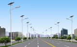 Hot Sale Solar LED Street Lights (SLD-SL-1047)