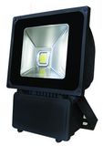 Outdoor COB Ground Mounted 100W Flood LED Light