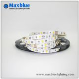 DC24V 12mm 96LEDs/M 5050 RGBW Flexible LED Strip Light